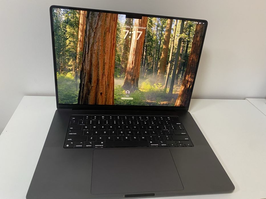 Used Apple MacBook Pro 16 M4 Max 64Gb / 2 Tb Space Black