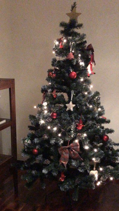 Arvore de Natal em otimo estado