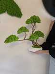 Drzewko bonsai z mchem chrobotkiem. Prezent. Dekoracje wnętrz.
