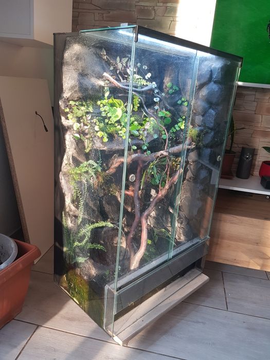 Terrarium 60x40x100cm