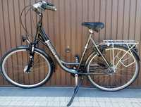 Rower Miejski Damka Pegasus