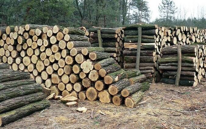 Дрова тверді Від 1300грн дрова рубані-метровкі) опт -дуб-граб вільха