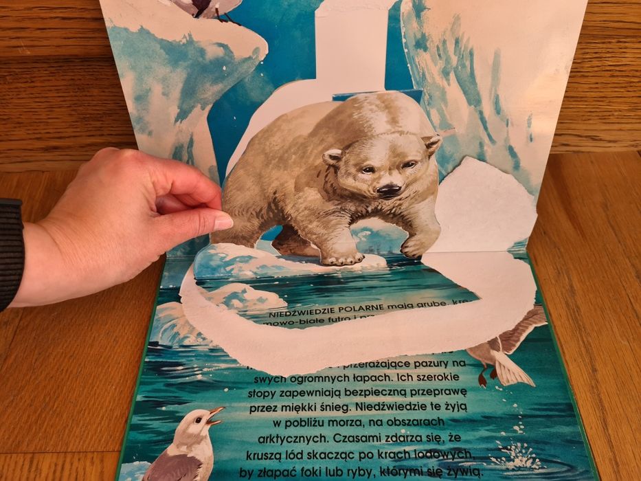 Zwierzęta 4 książki pop-up