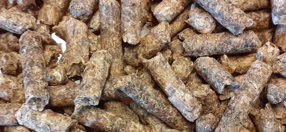 Wysłodki buraczane suche