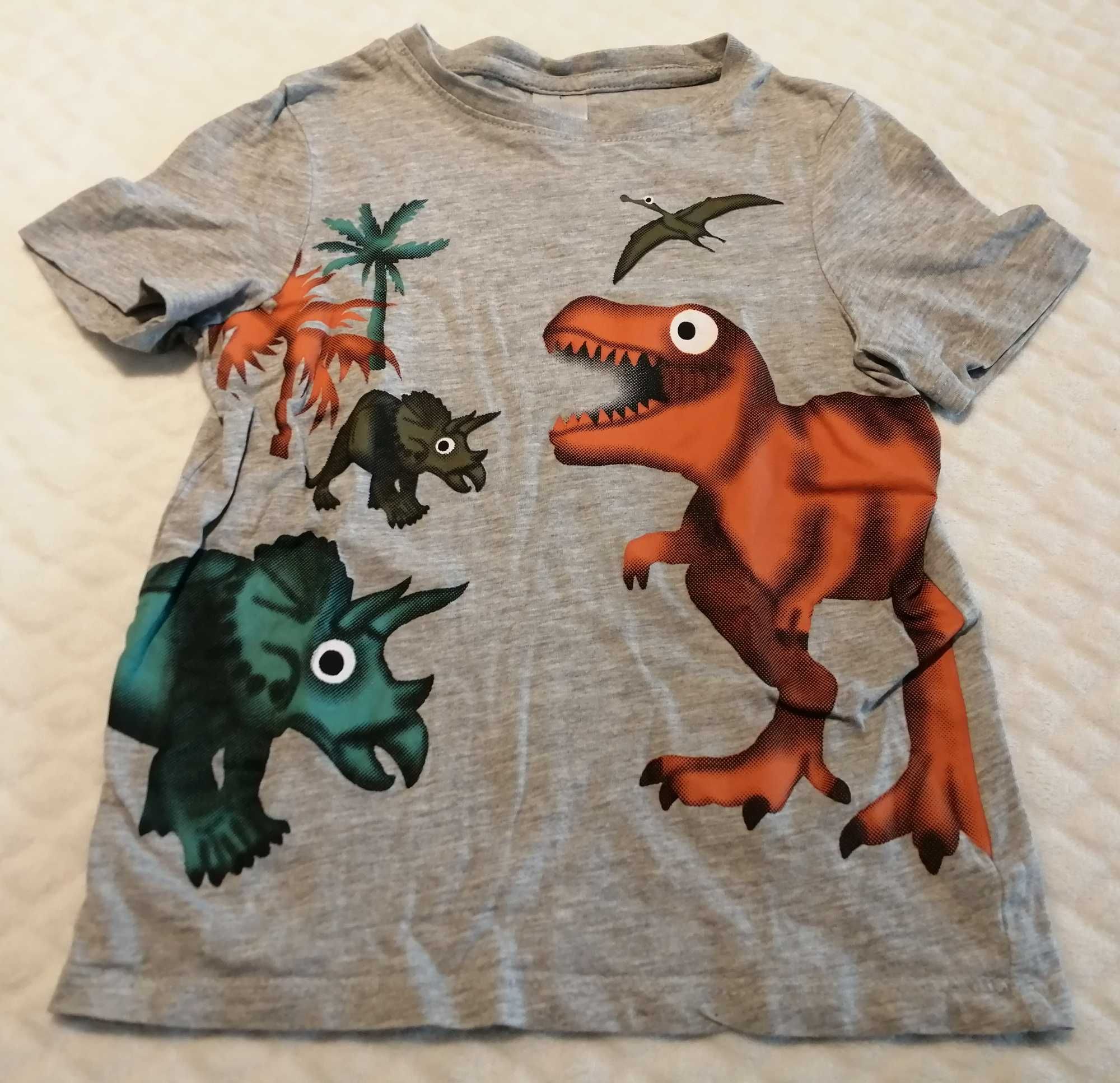 Koszulka, krótki rękaw, T-shirt, dinozaury, 116, C&A (Odzież)