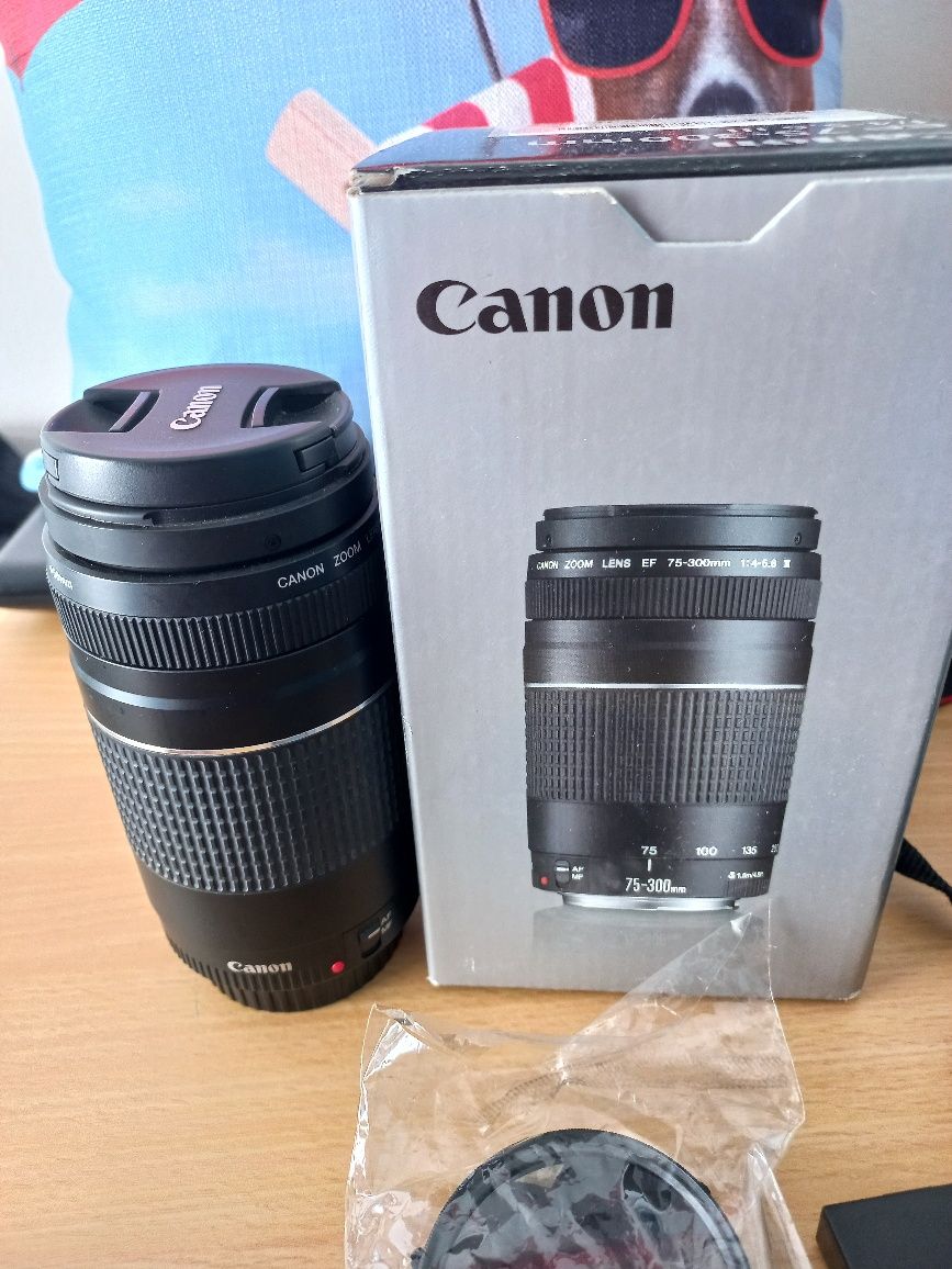 Canon 4000d com lentes