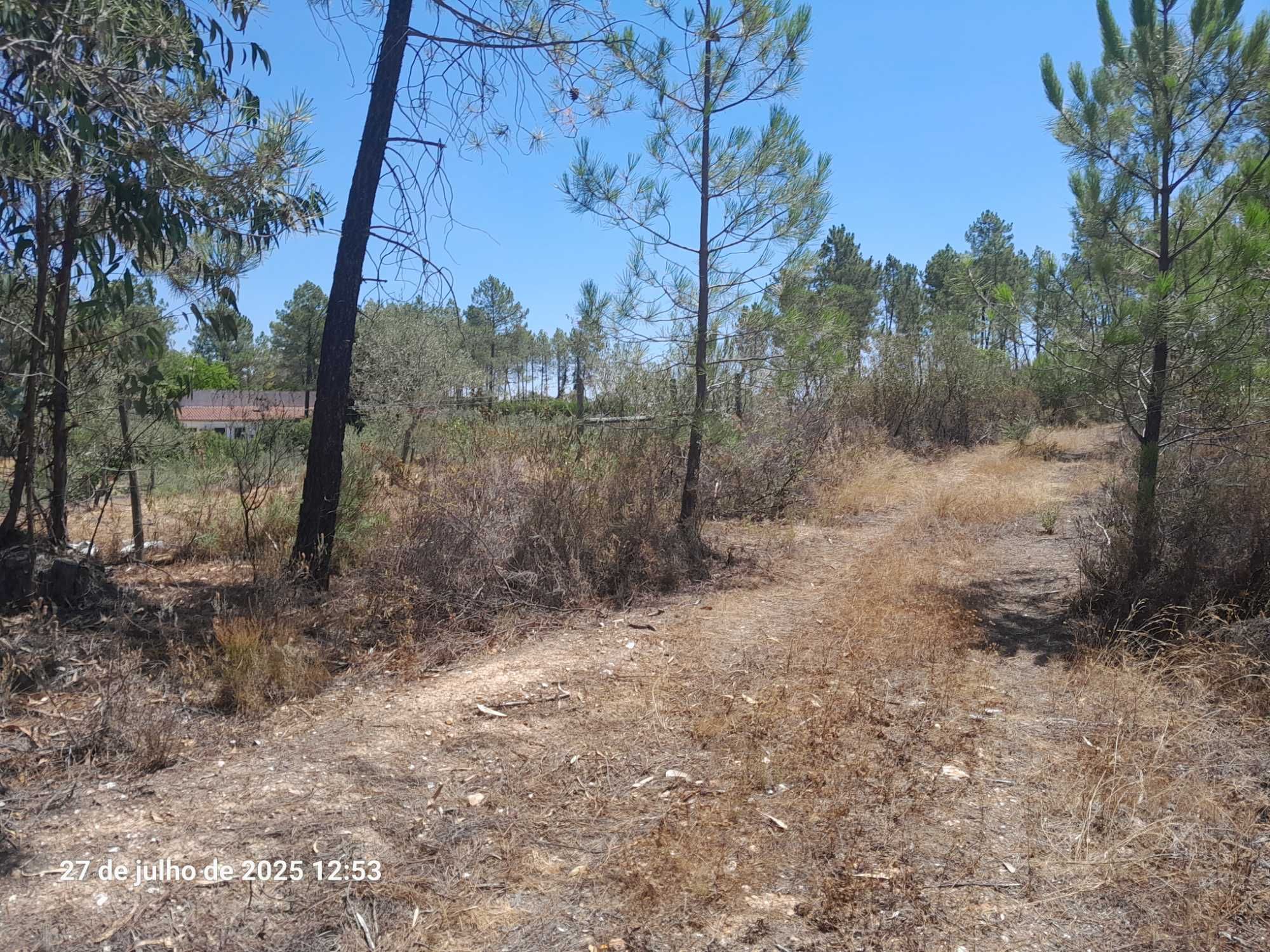 Terreno Mendares (Castelo Branco)