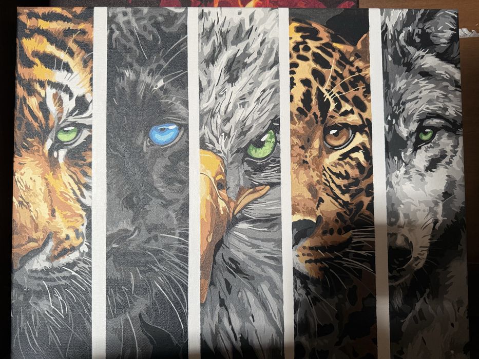 Міняю картини/алмазну мозаїку на корм для безпритульних котиків