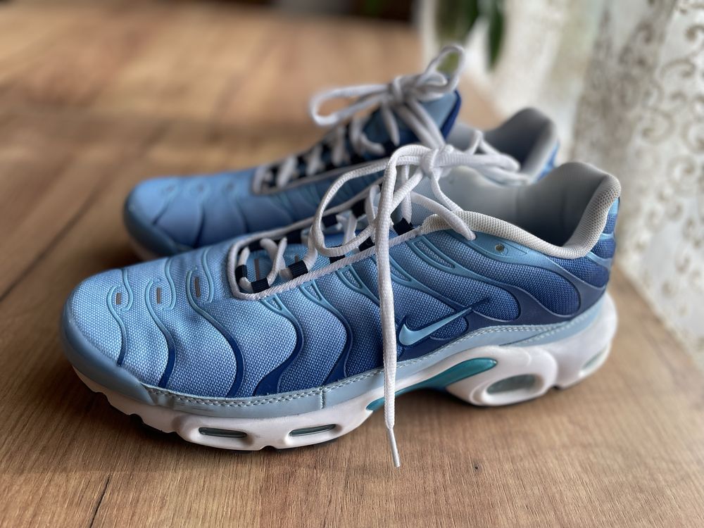 Кросівки Nike Air Max Plus (FJ4736-400) 46 розмір
