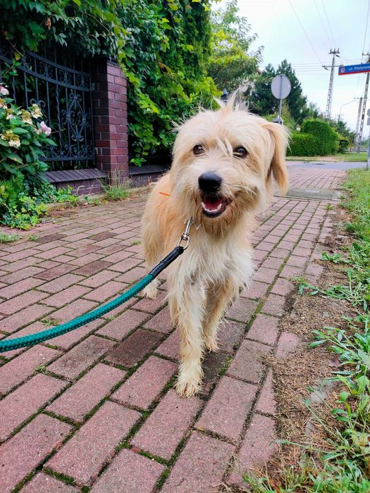 Siedlce, czyja zguba?