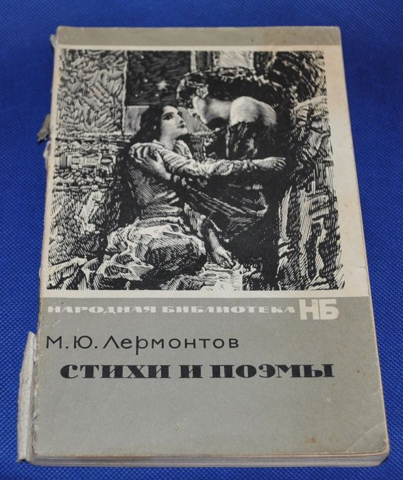 Пушкин Дубровский. Капитанская дочка Стихи Тургенев Ломоносов Мицкевич