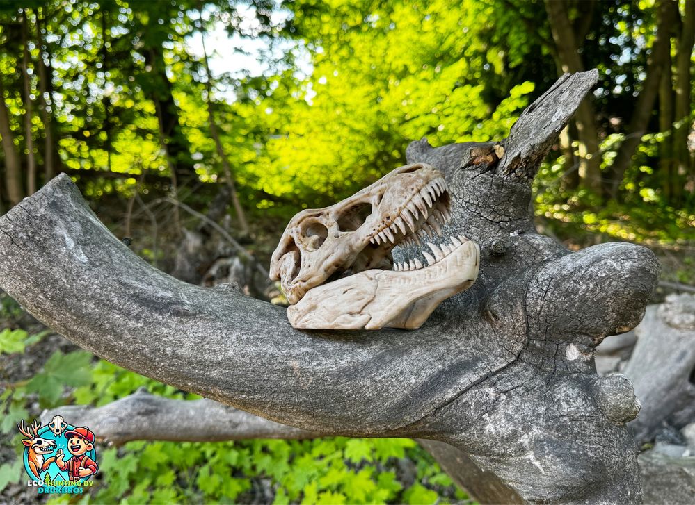 Czaszka T-Rex na stojaku/replika/ozdoba/trofeum