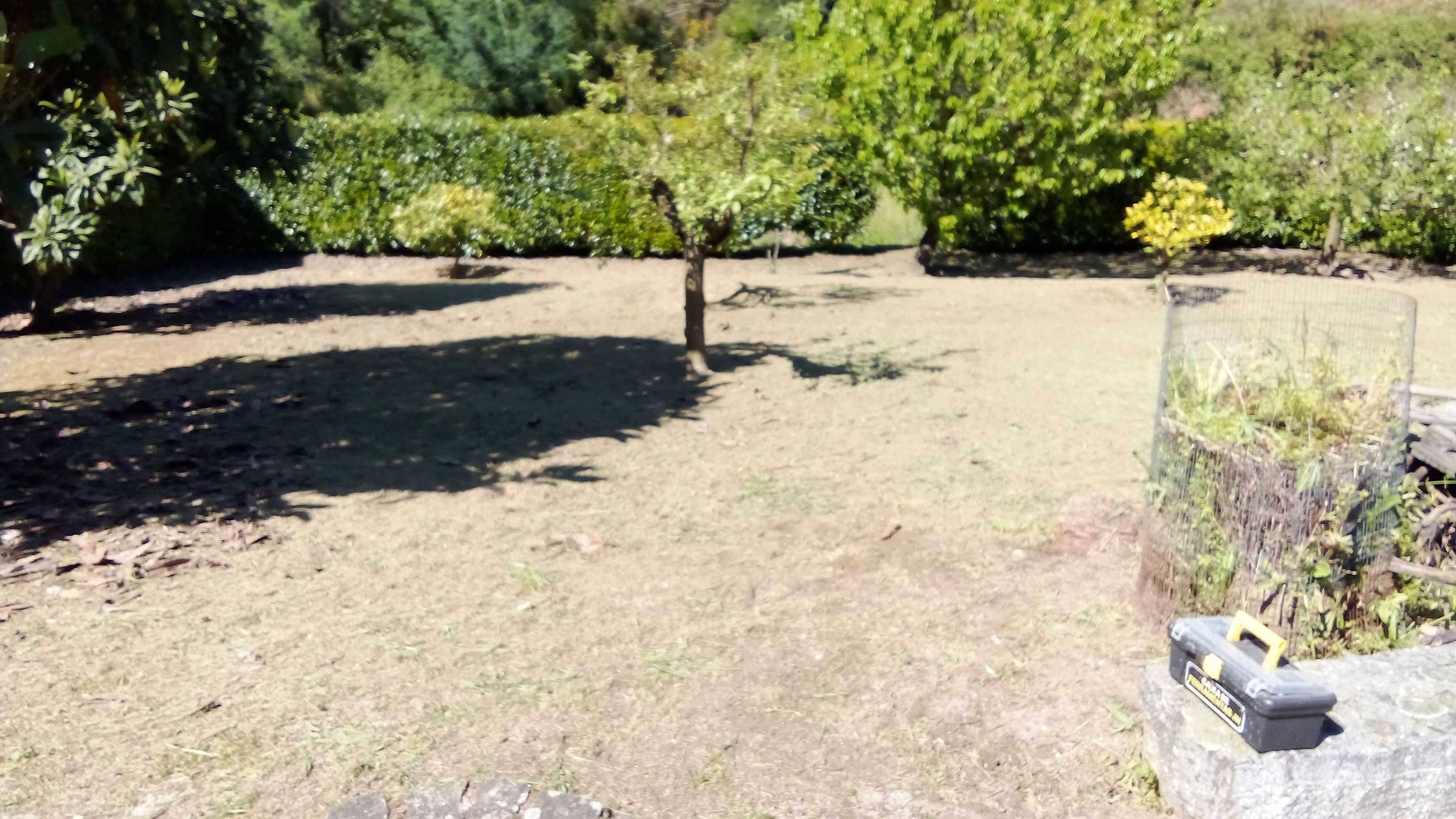 Limpeza de Terrenos