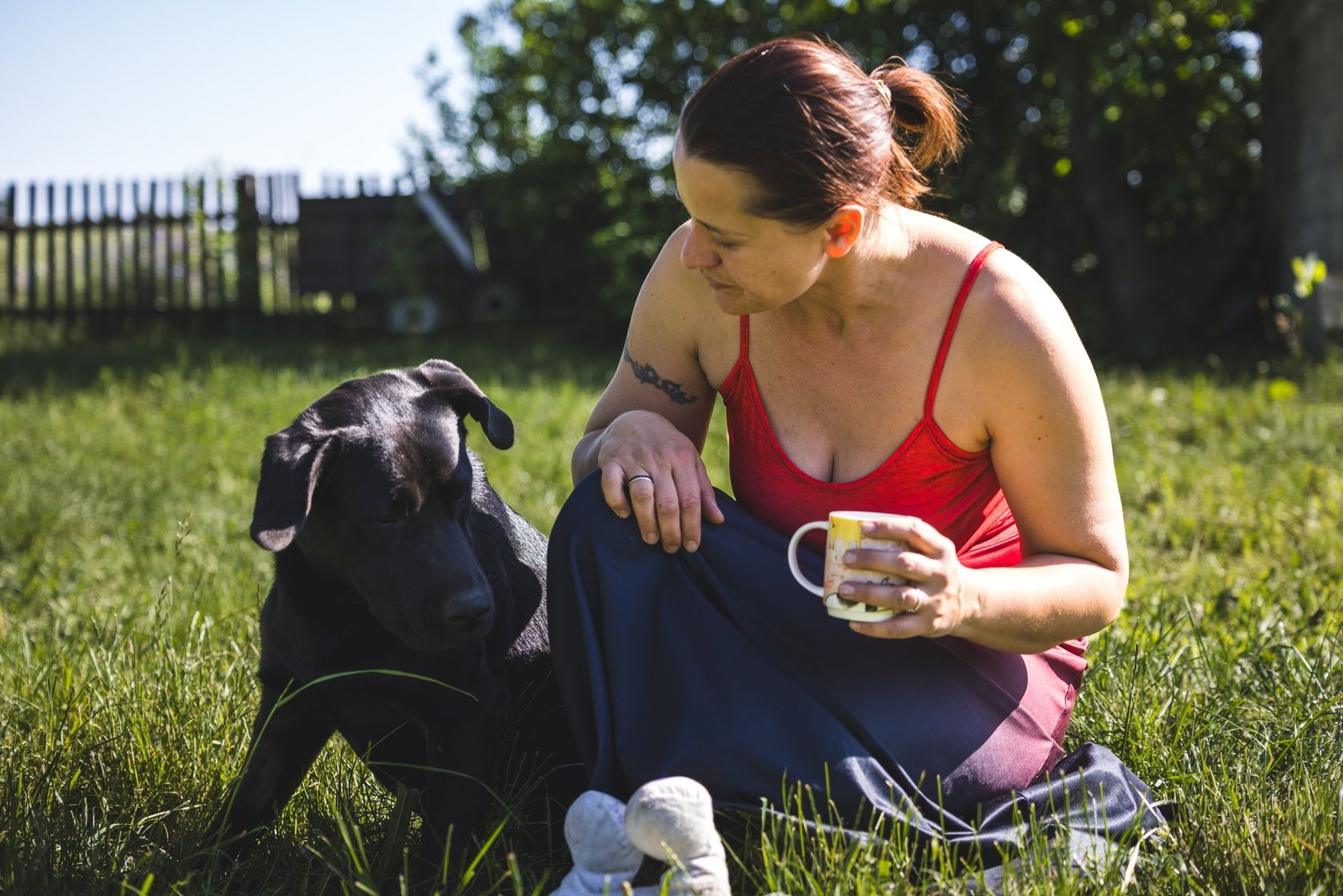 Pelvis cudowny szczeniak w typie labradora szuka domu