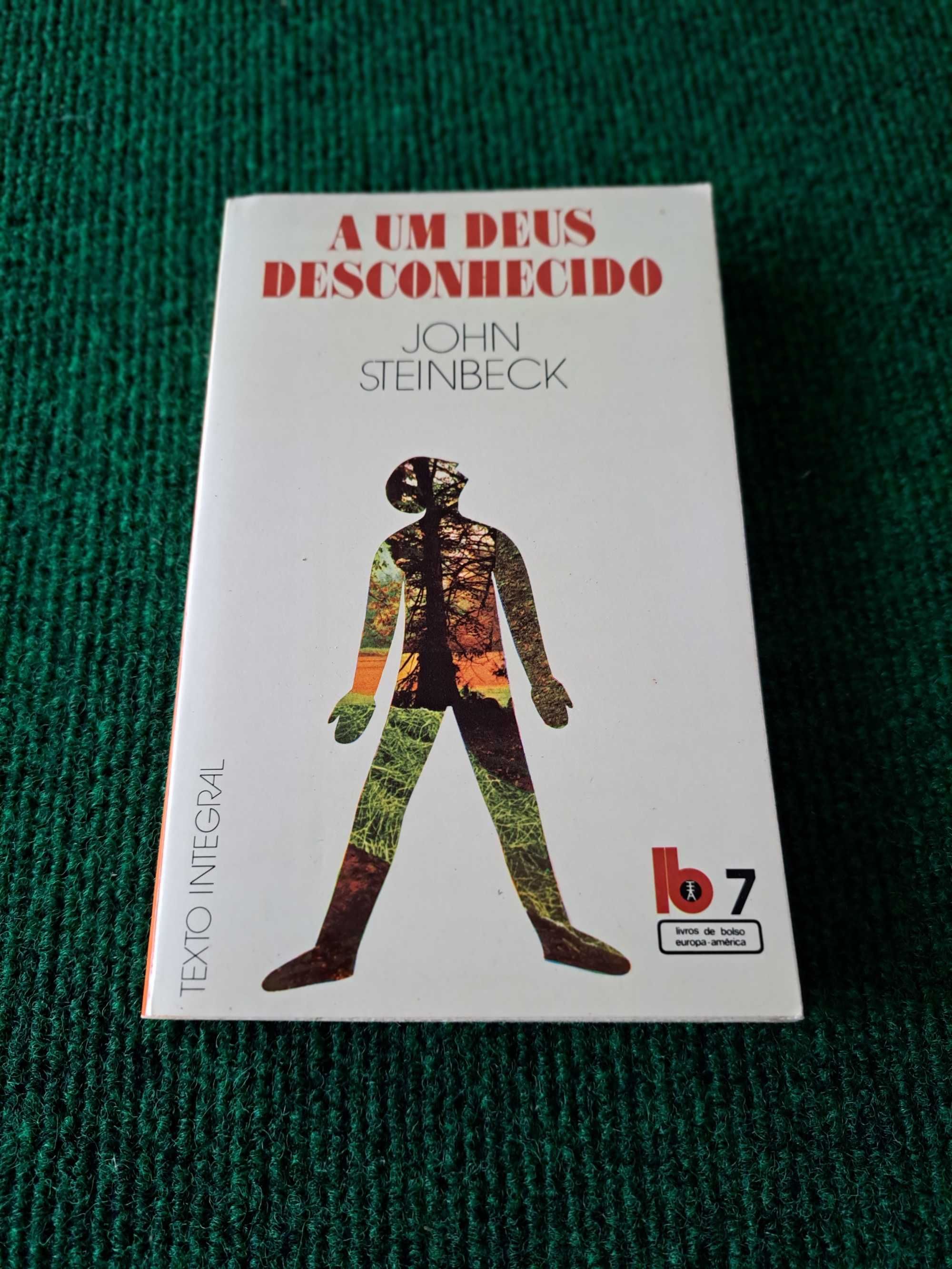A Um Deus Desconhecido - John Steinbeck