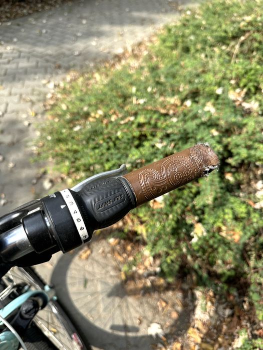 Trek Equinox Navigator 2.0 WSD (juniorski/niski wzrost) 13.5'' rama