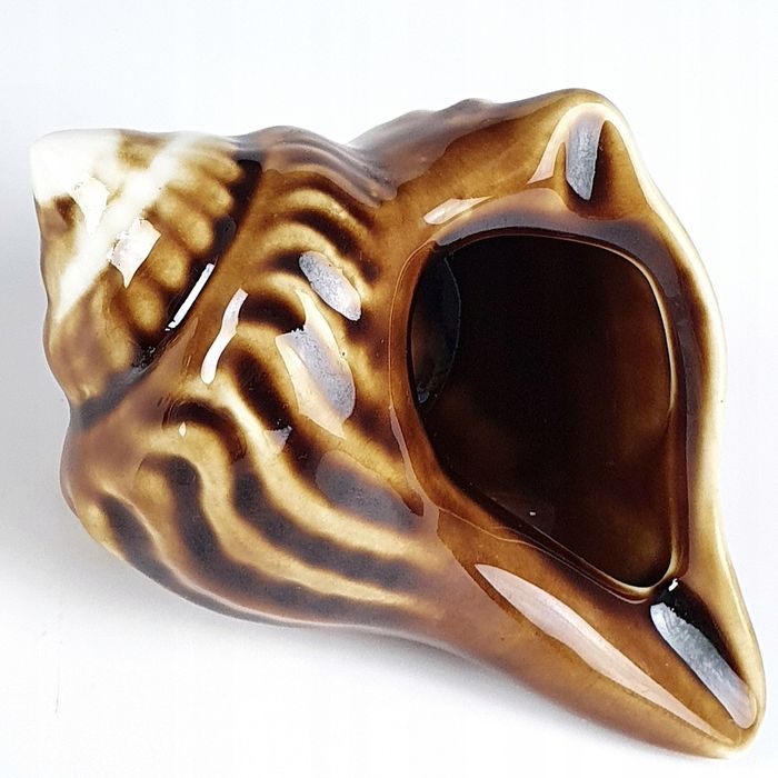 Muszla Piękna Chińska Popielniczka