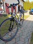 Rower winora damka
