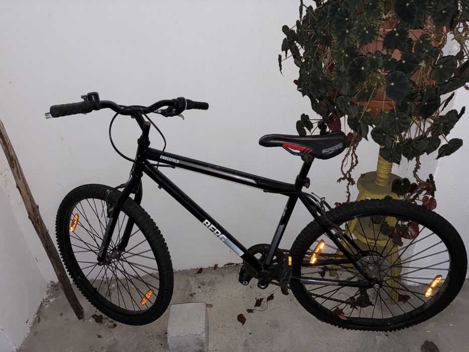 Bicicleta Adulto