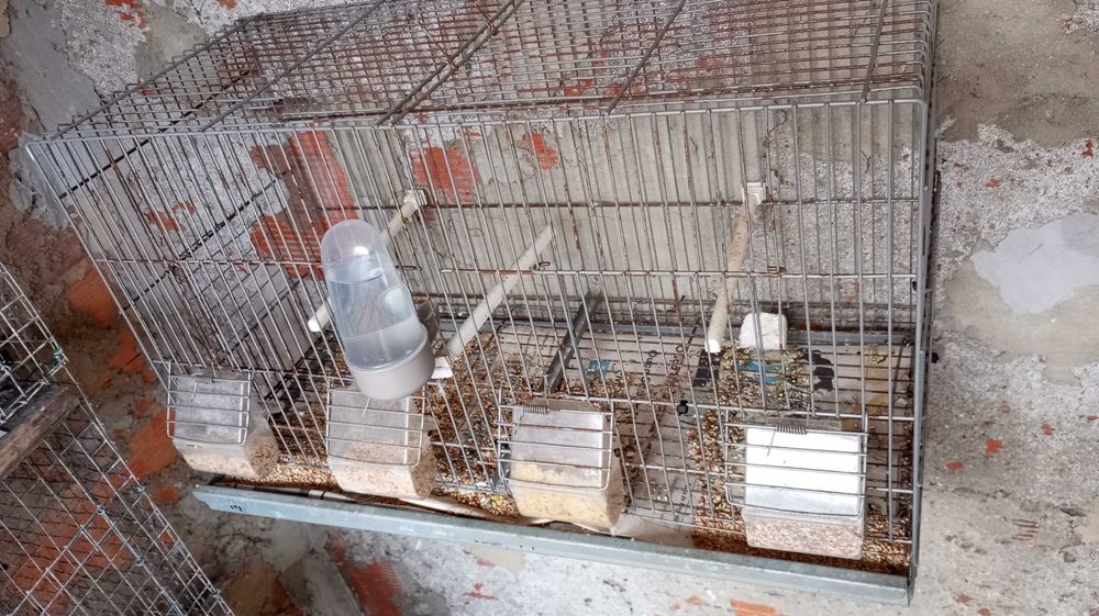 Viveiro com acessórios