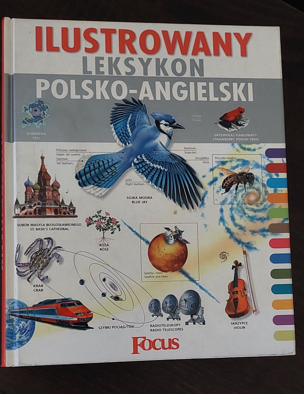 Ilustrowany leksykon polsko-angielski