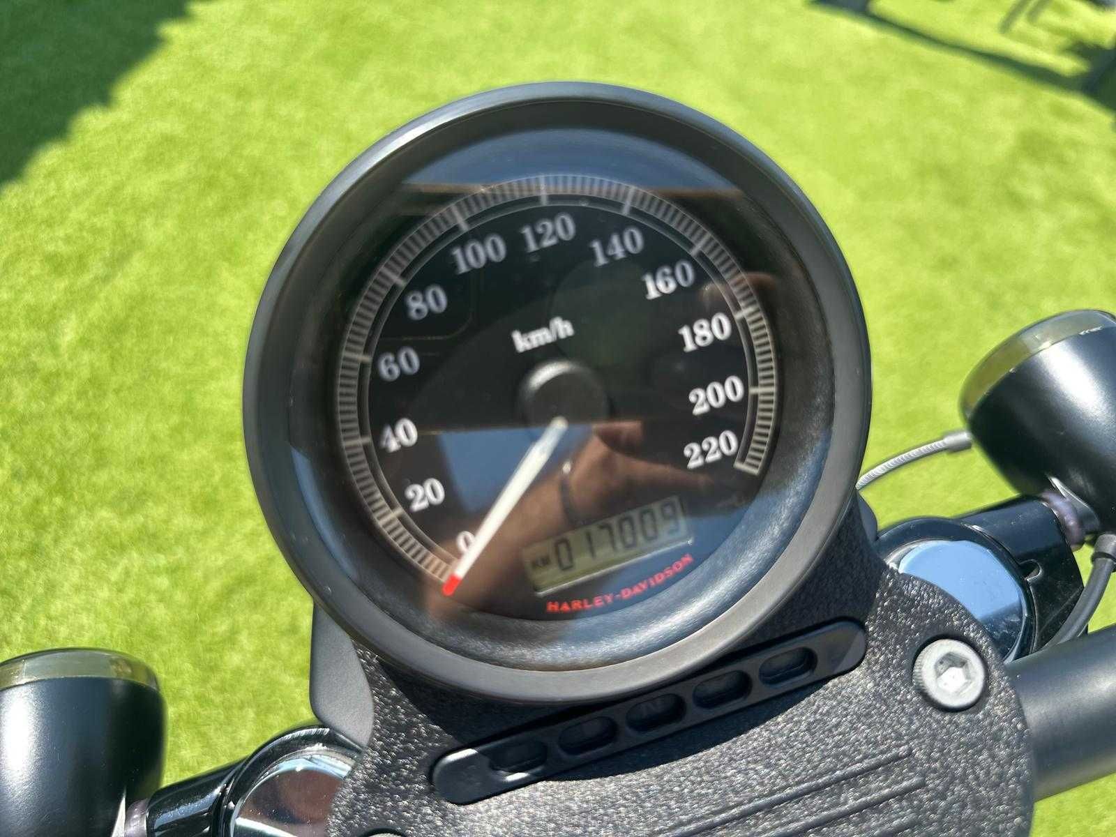 Harley-Davidson XL 883N Iron