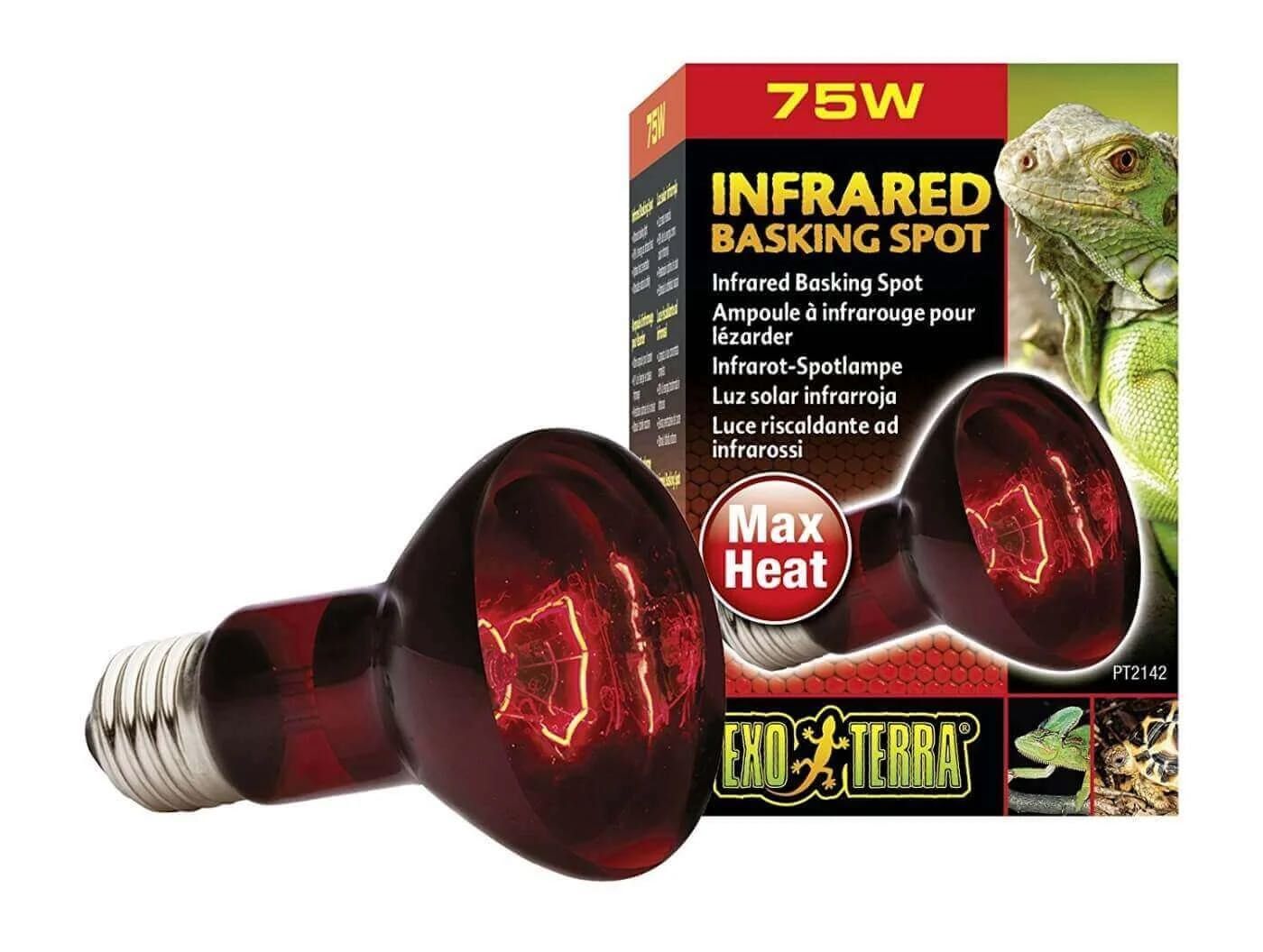 NOVO PREÇO! Terrário + acessórios Exoterra 90x45x45 COMO NOVO