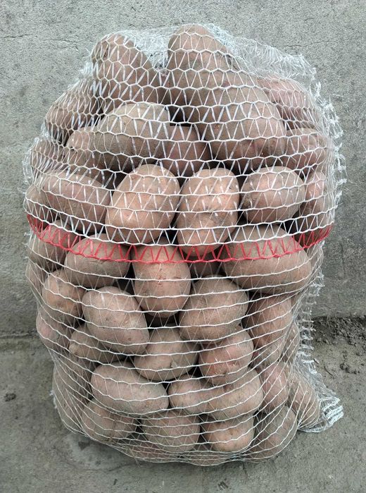 Sprzedam ziemniaki jadalne-irga irys catania rudolf monte carlo wineta