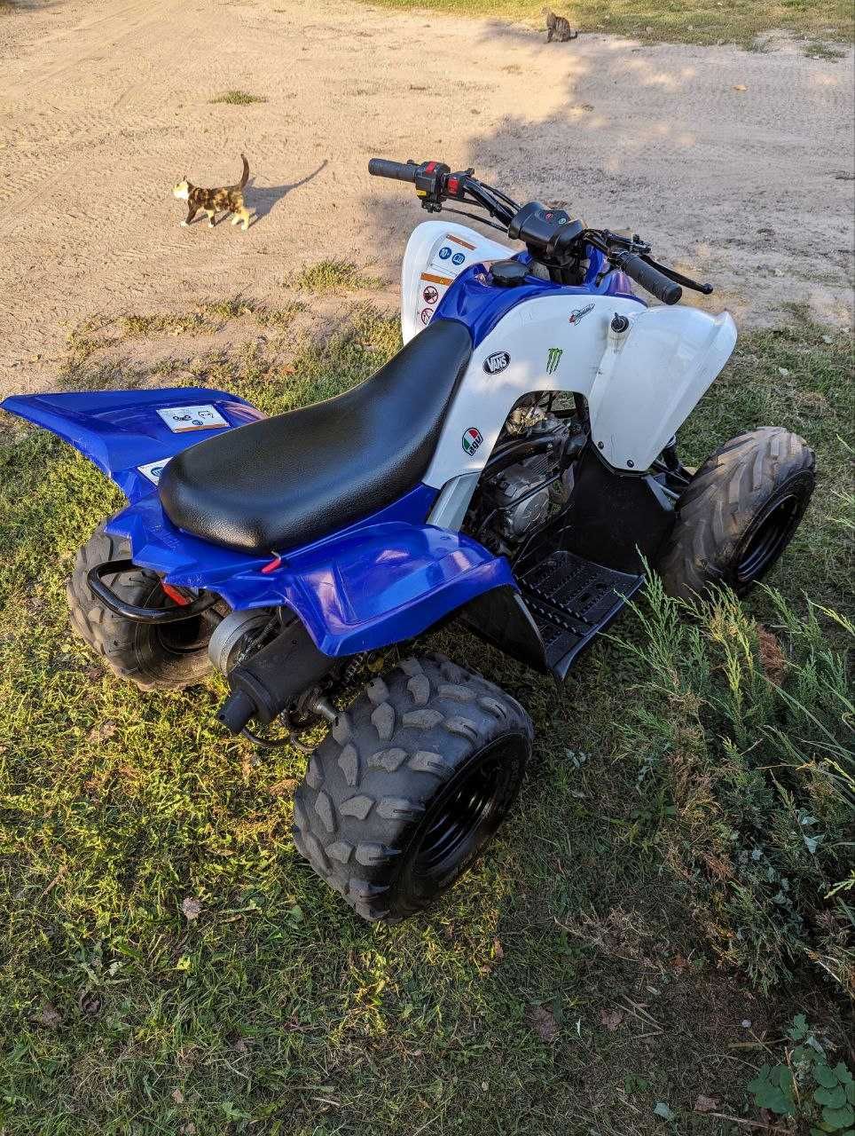 Yamaha 90 Raptor