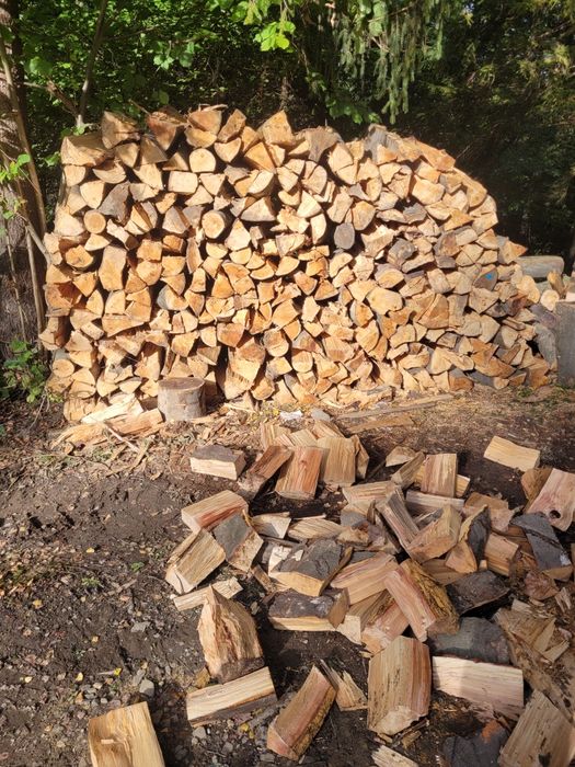 Buk opałowy sezonowany suchy oraz mokry