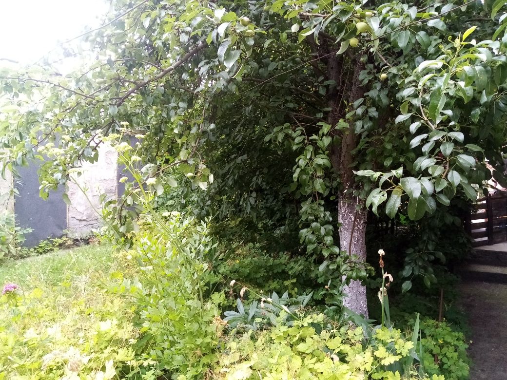 Wynajmę apartament i pokoje w okolicach Trojanowa