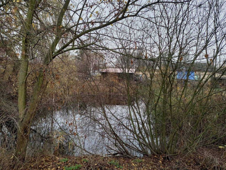 Продам 1/2 частину будинку зі ставком в Лісовій Бучі