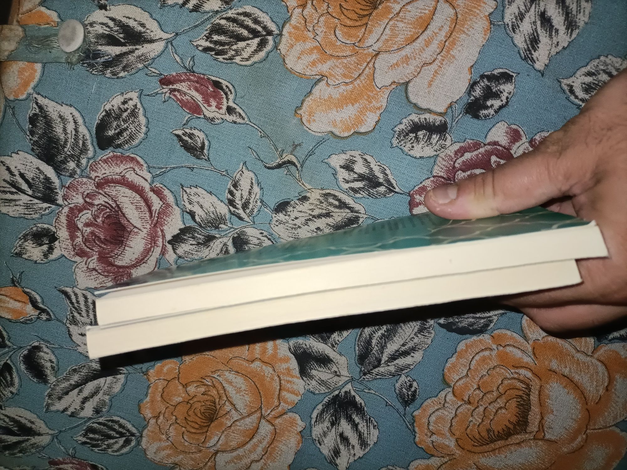 O livro das 1001 noites I e IV