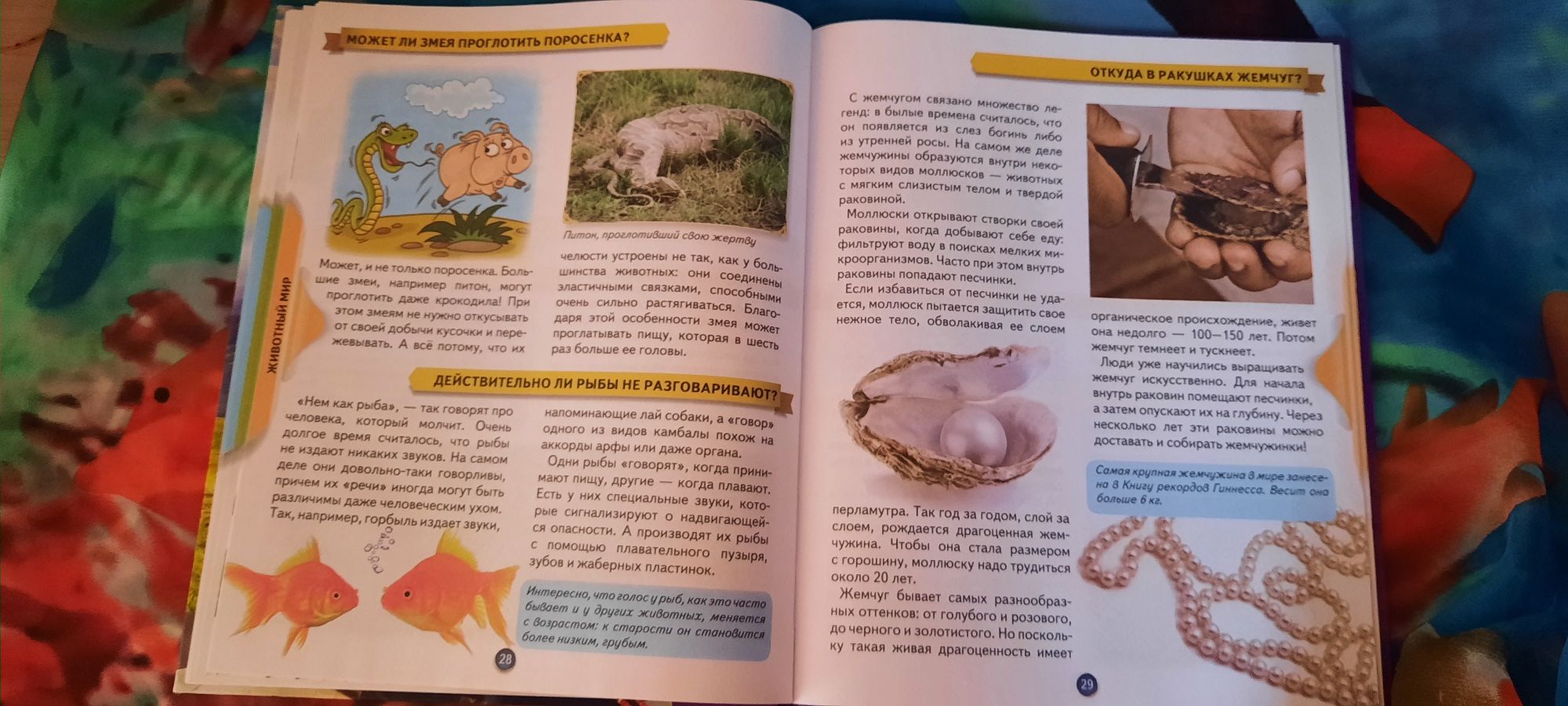 Продам  книгу ,,Маленькие умники"