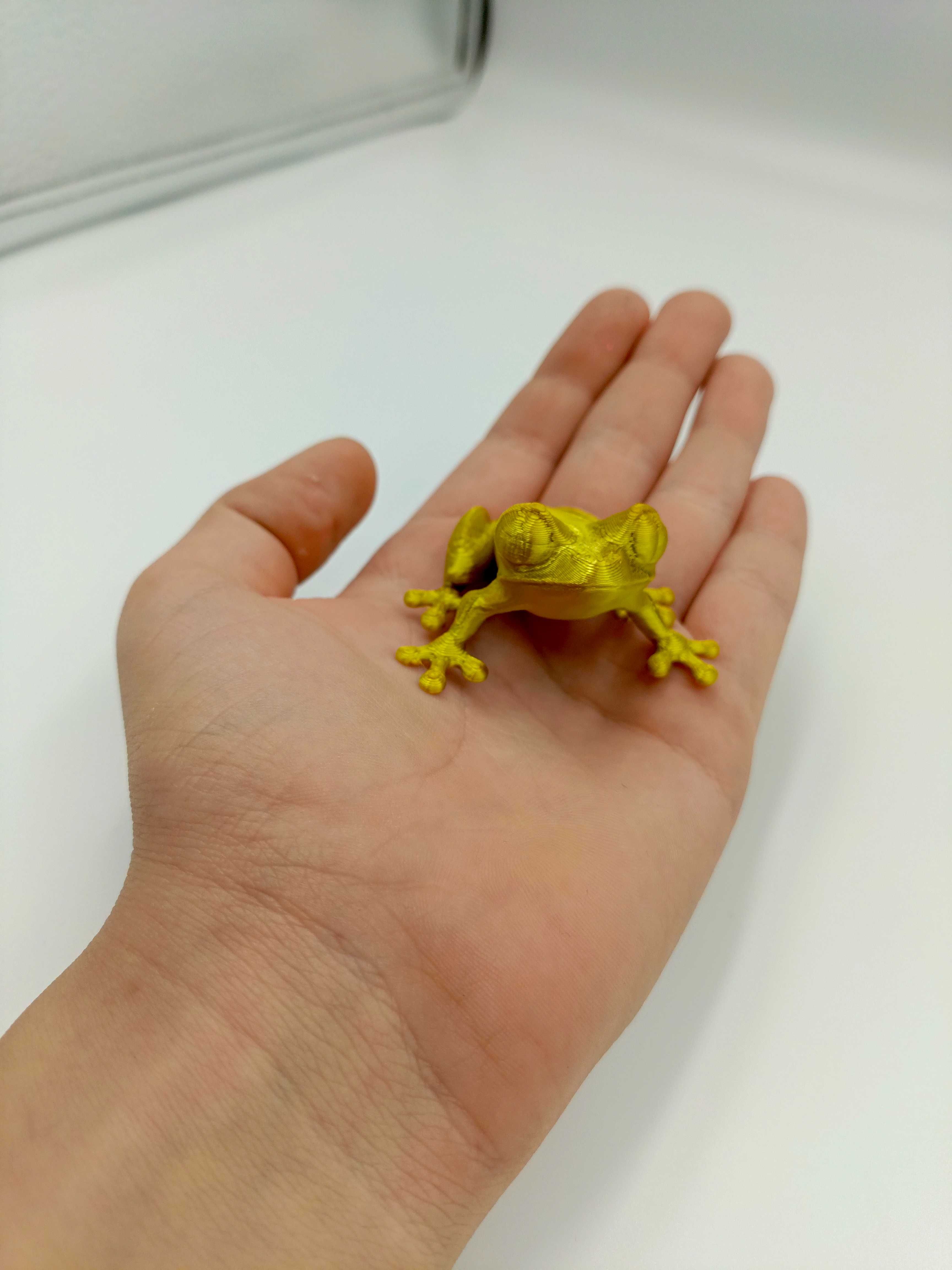 Druk 3D żaba mała żabka