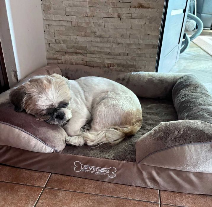 Ortopedyczne legowisko dla Psa 70×55 cm – polskie, wodoodporne, NOWE