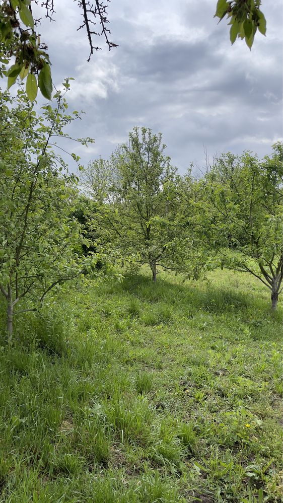 Продається будинок село Лісова Слобідка