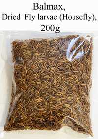 Balmax, Suszone larwy muchy (mucha domowa) / Housefly / 200g