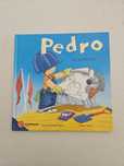 Pedro no estaleiro