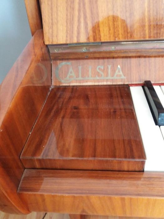 Pianino Calisia M-105