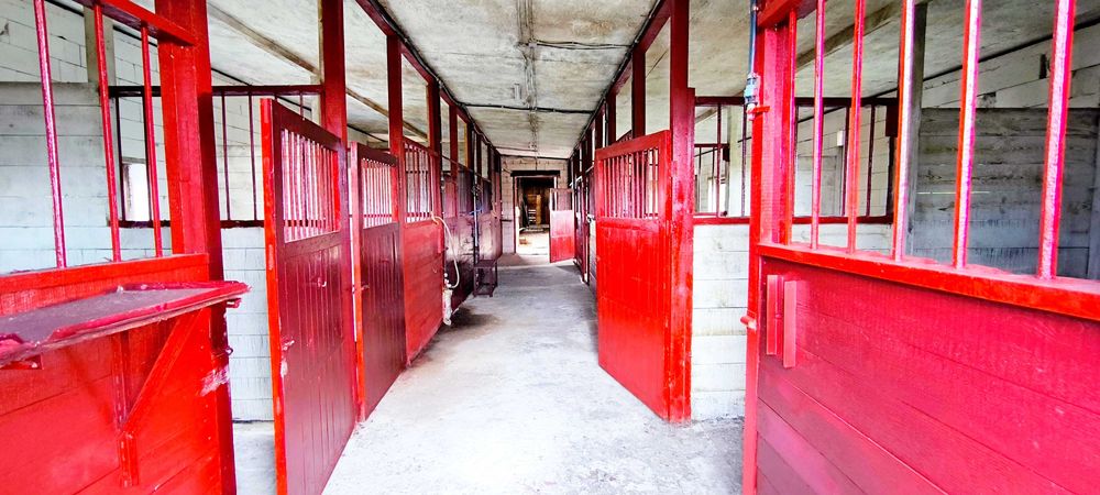 Продається будинок зі стайнею на 9 коней і територією 80 соток