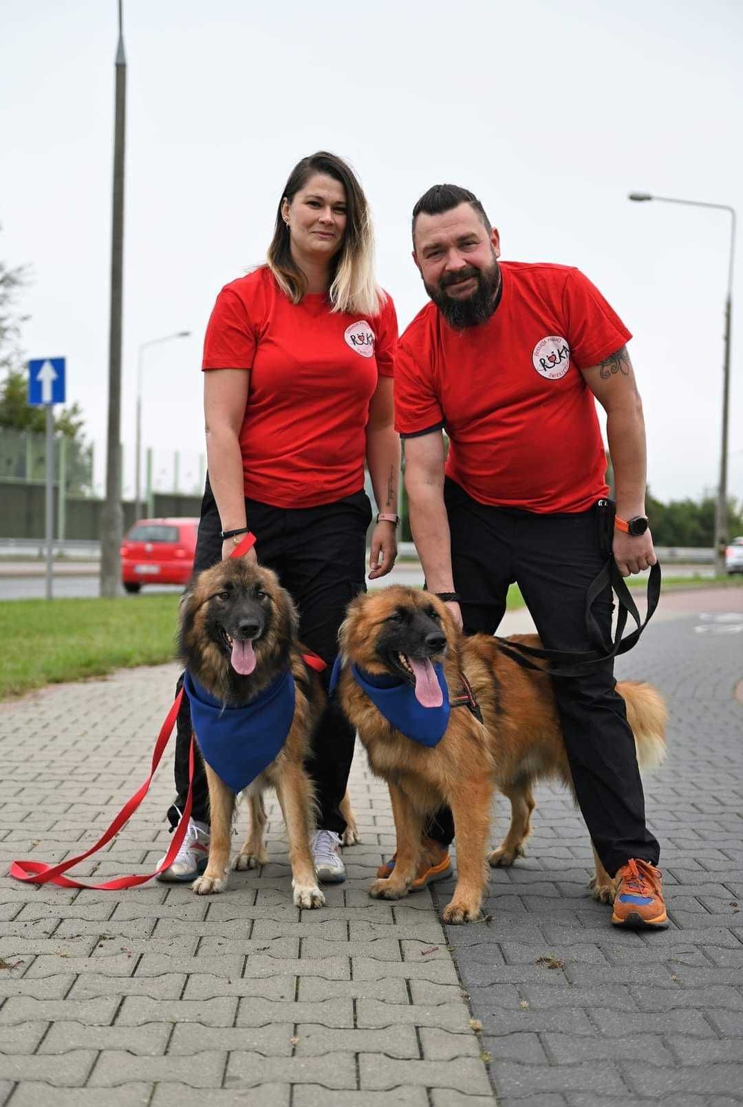 Pat i Mat dwa młode psiaki do adopcji