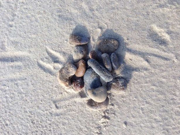 Камни морские