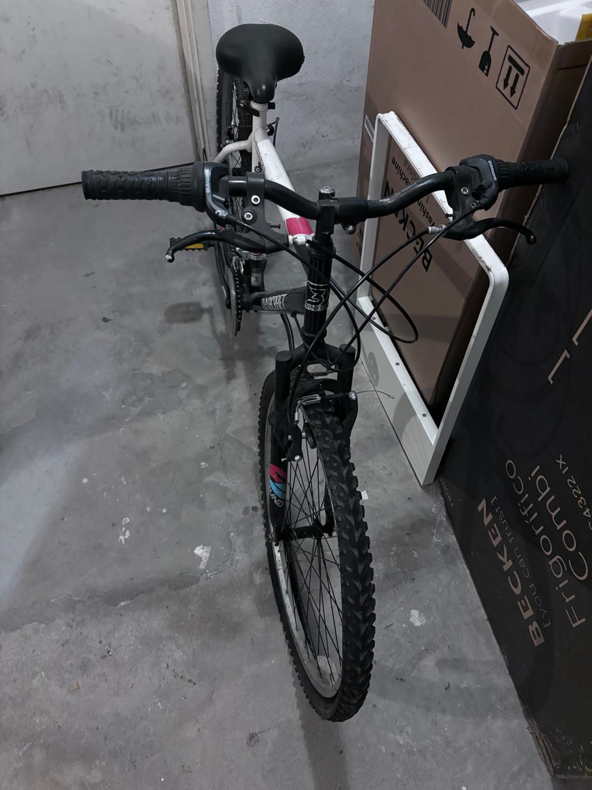 bicicleta dinacraft