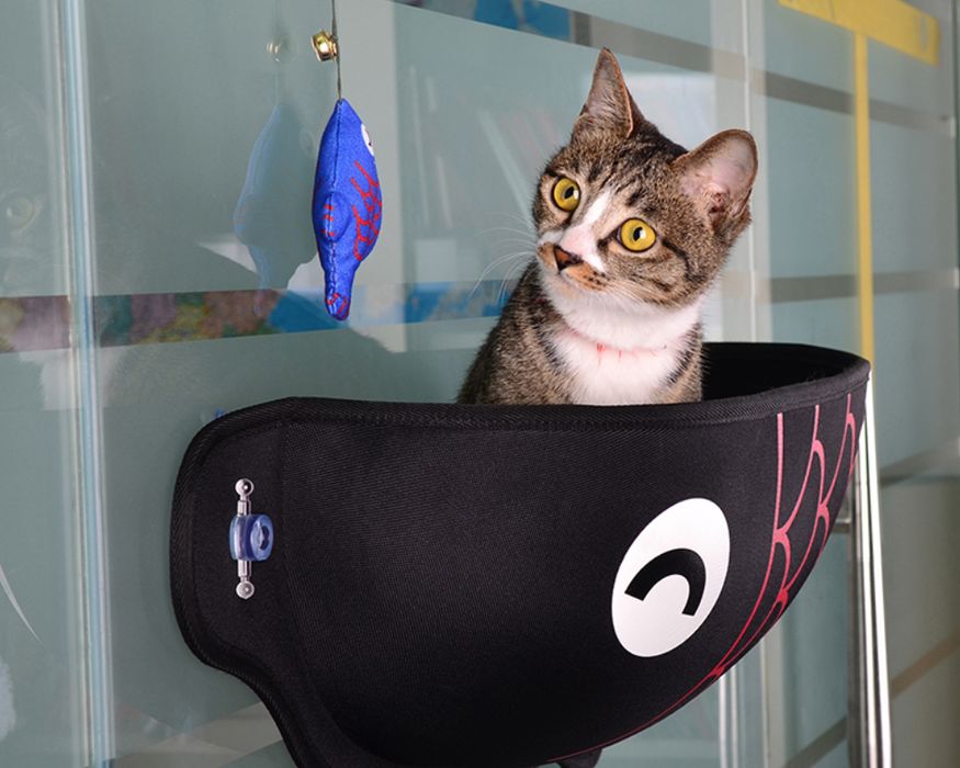 Legowisko dla Kota Hamak Okno Czarne 56x18x20 Przyssawka