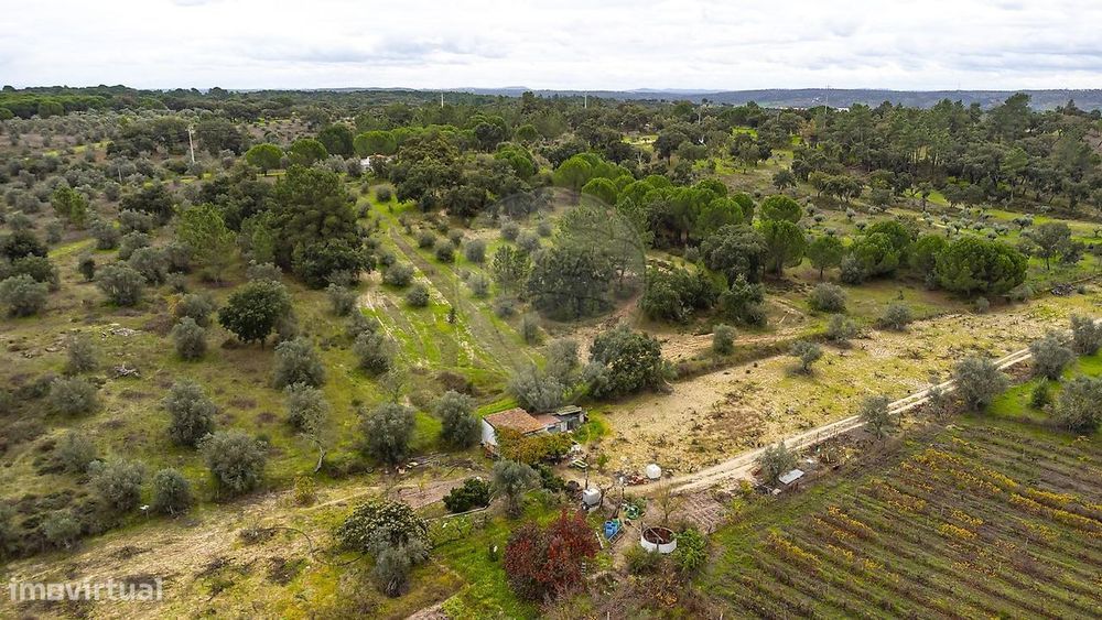 Terreno  para venda