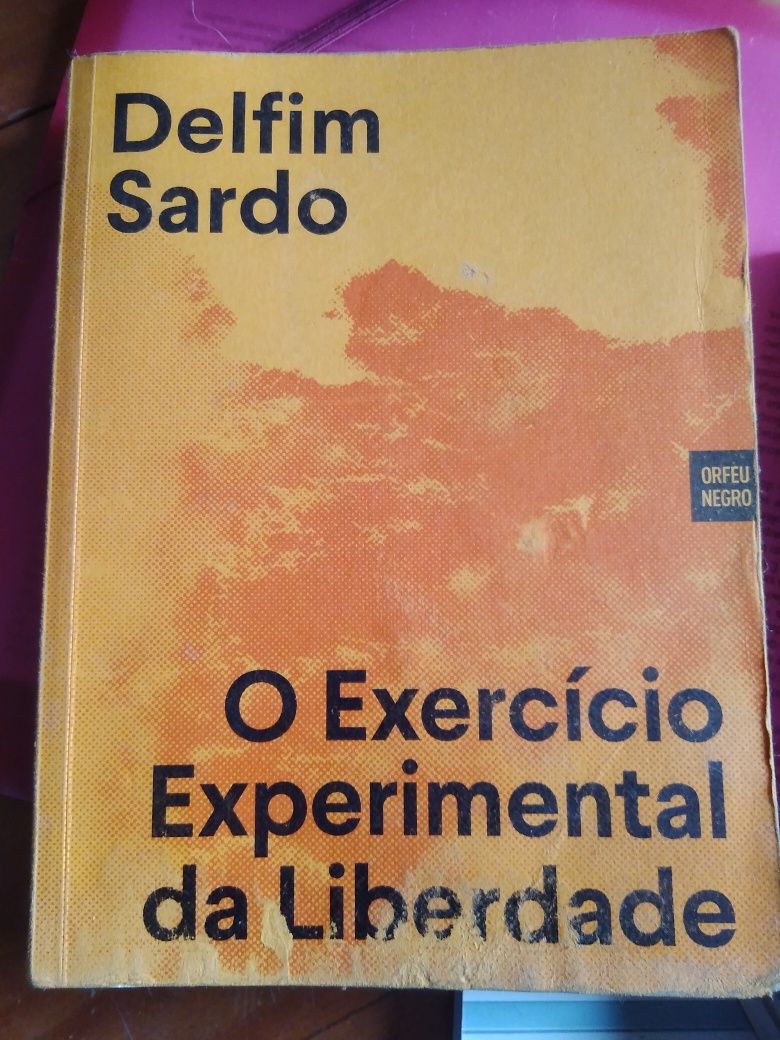 Delfim Sardo - O exercício experimental da liberdade