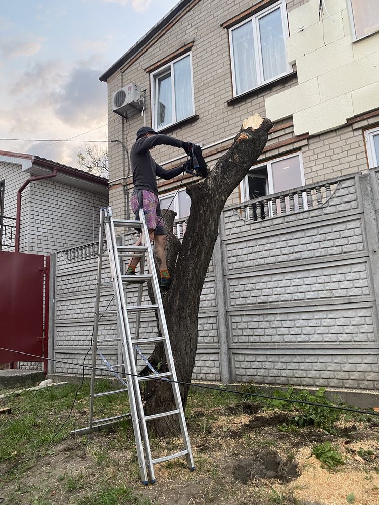 Спил деревьев,Распил на дрова,Формировка кроны