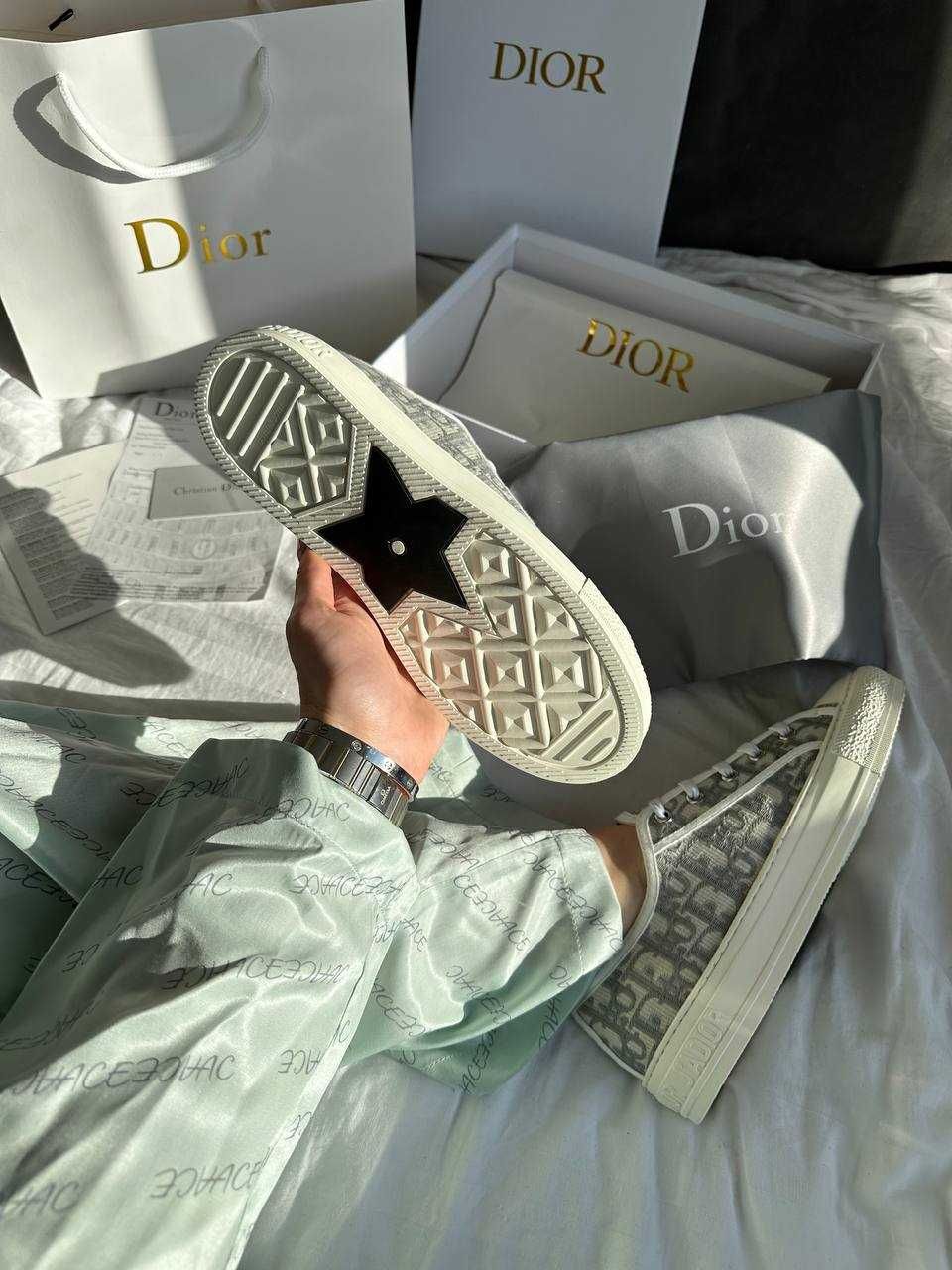Dior Sneakers Low Grey Premium