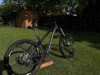 Dartmoor hornet M